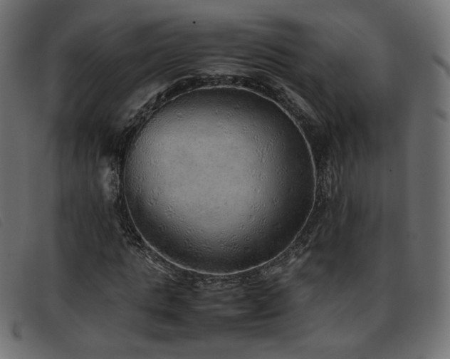 X0000093770821200710161240