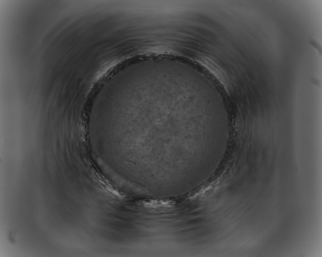 X0000093770823200710161240