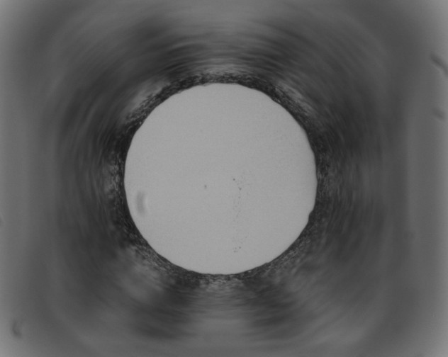 X0000093770824200710161240
