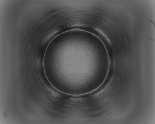 X0000093770825200710161240