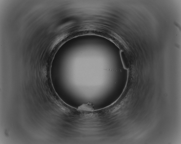 X0000093770826200710161240