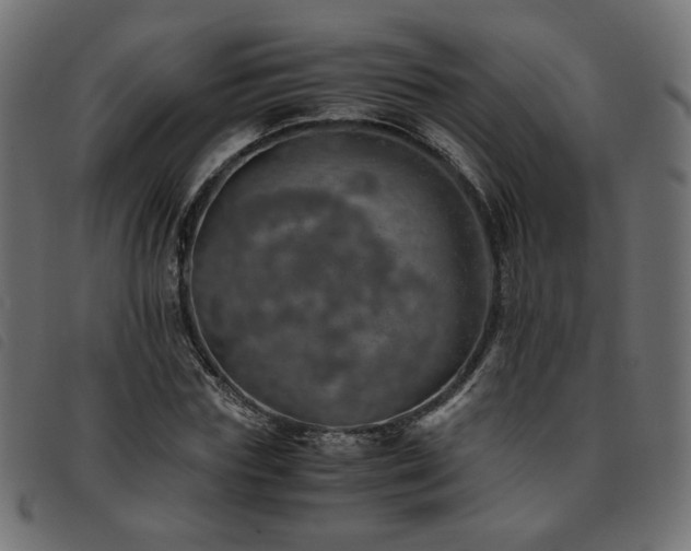 X0000093770827200710161240