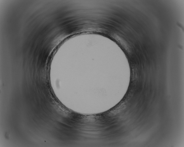X0000093770828200710161240