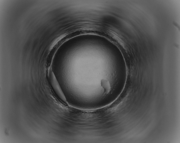 X0000093770829200710161240