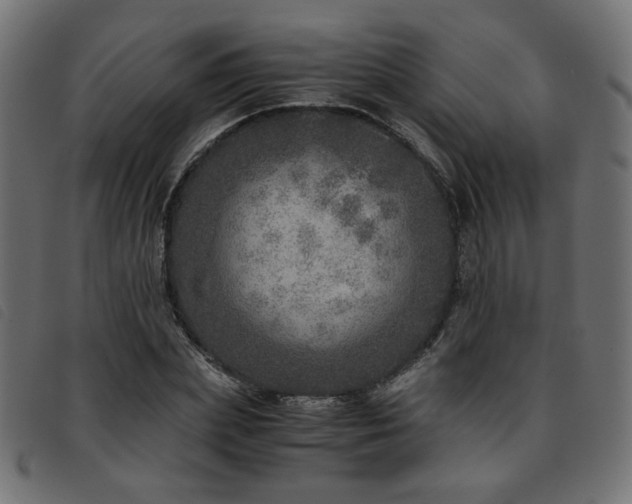 X0000093770831200710161240