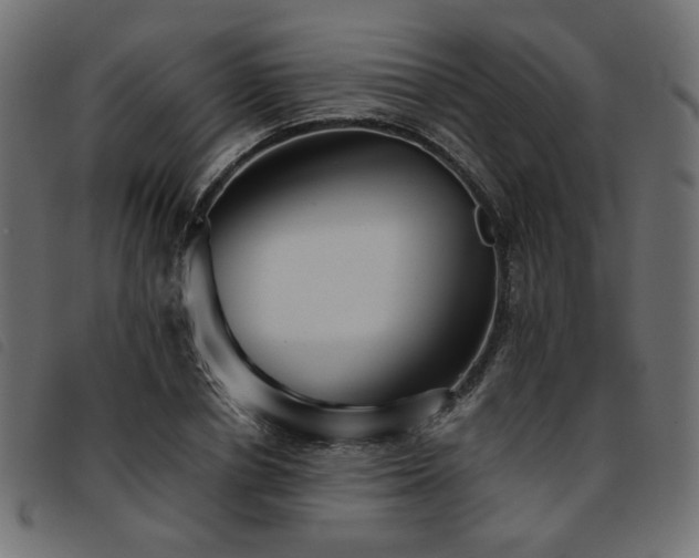 X0000093770834200710161240