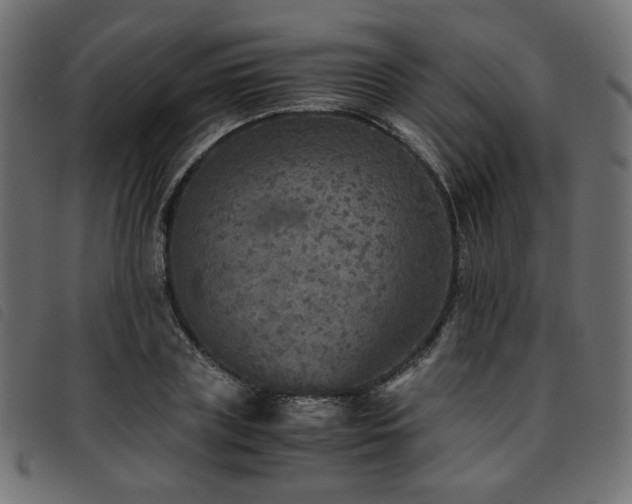X0000093770835200710161240