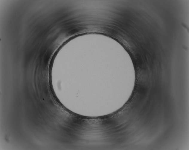 X0000093770836200710161240