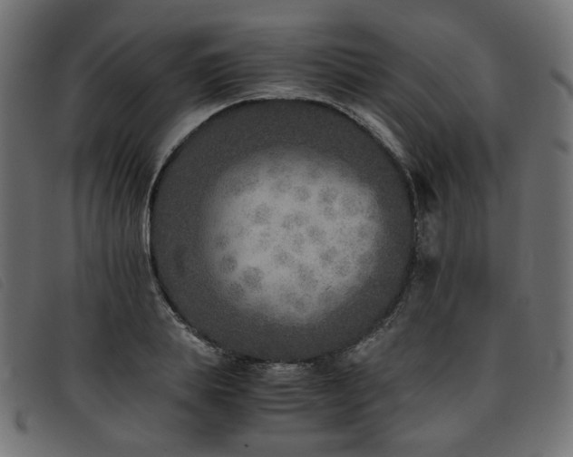X0000093770839200710161240