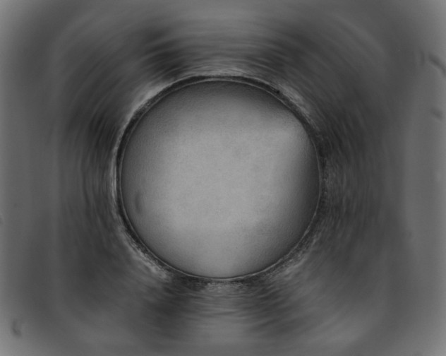 X0000093770840200710161240
