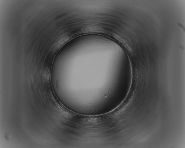 X0000093770841200710161240