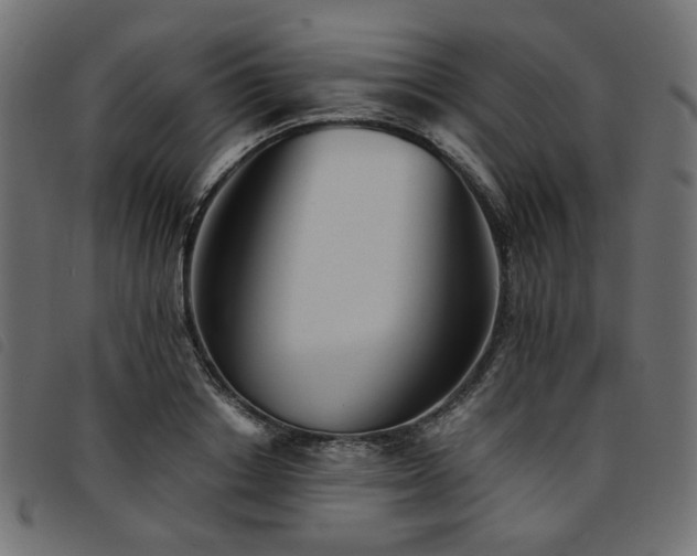 X0000093770842200710161240
