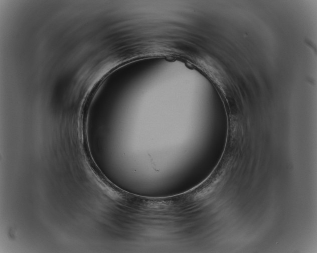 X0000093770843200710161240