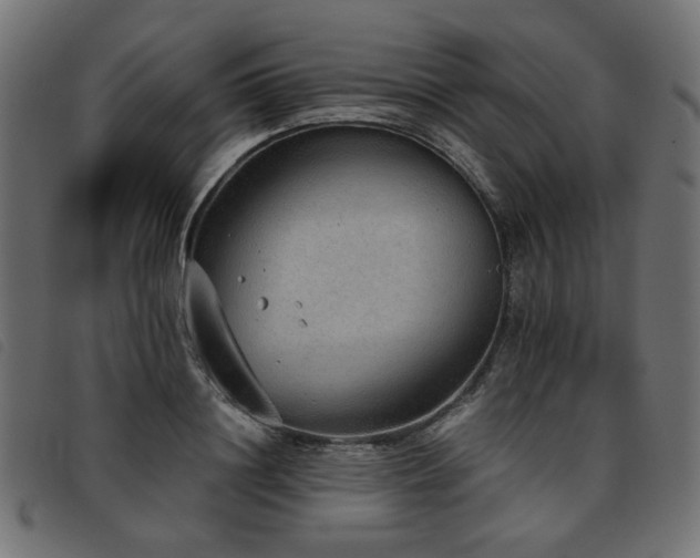 X0000093770844200710161240