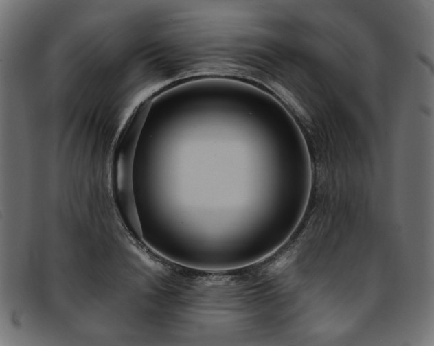X0000093770846200710161240