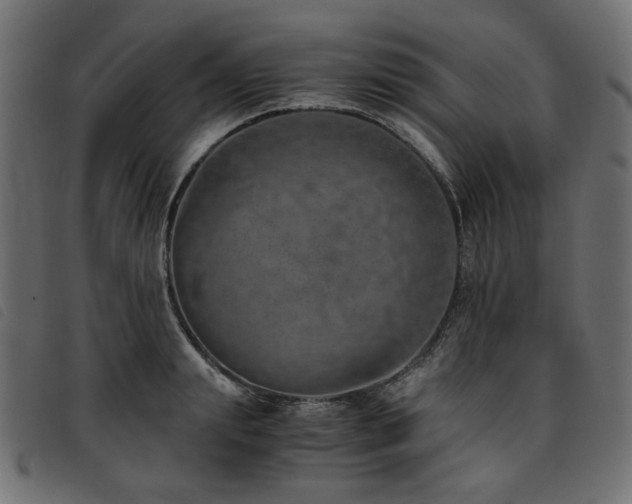 X0000093770847200710161240