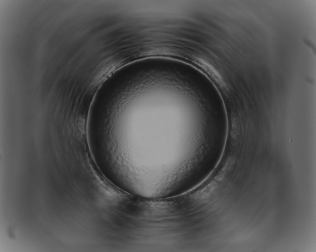 X0000093770849200710161240