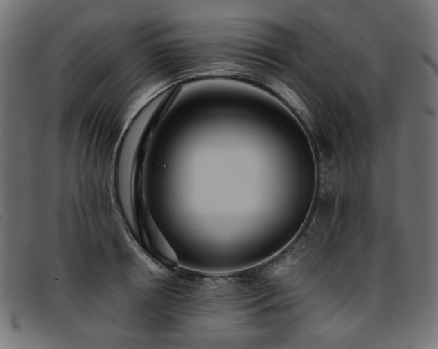 X0000093770850200710161240