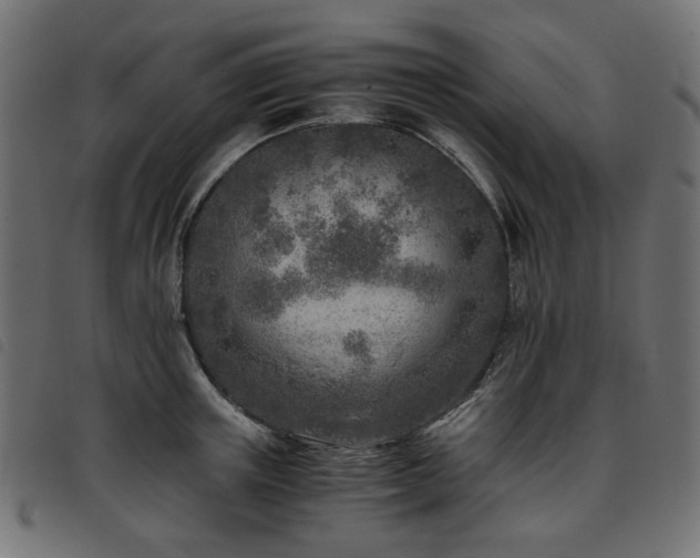 X0000093770851200710161240