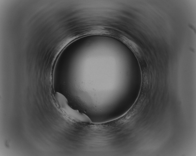 X0000093770852200710161240
