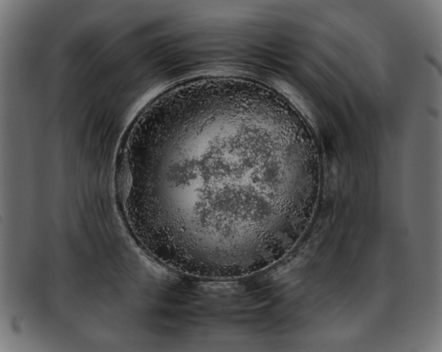 X0000093770853200710161240