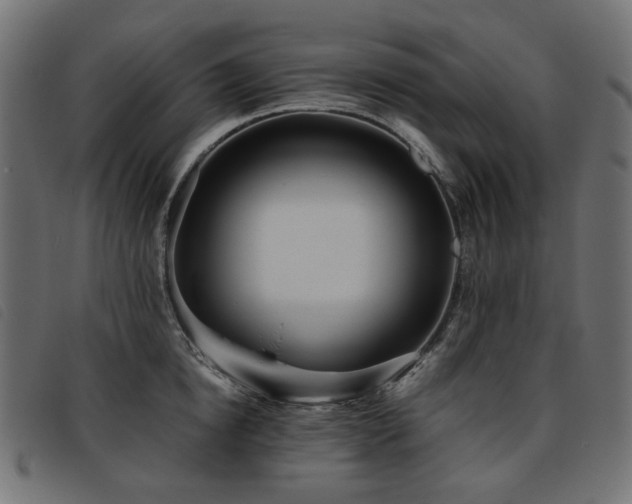 X0000093770854200710161240