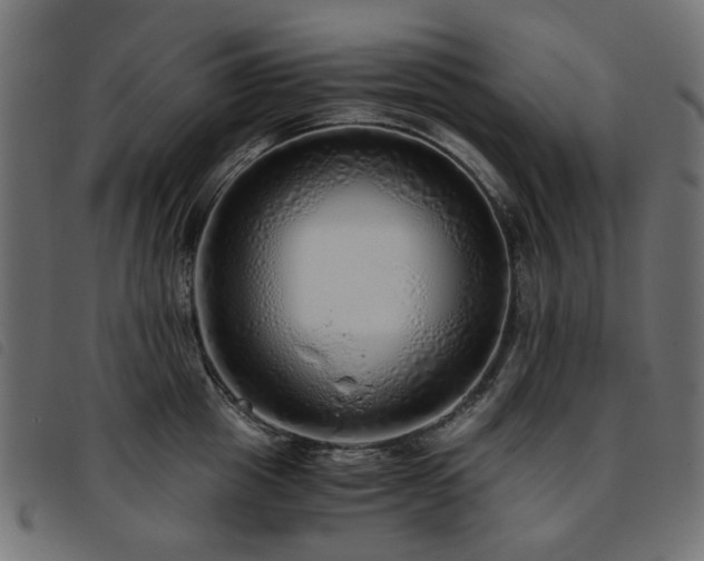 X0000093770857200710161240