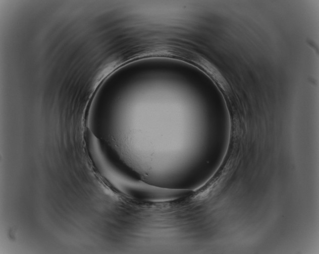 X0000093770858200710161240