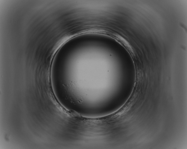 X0000093770860200710161240