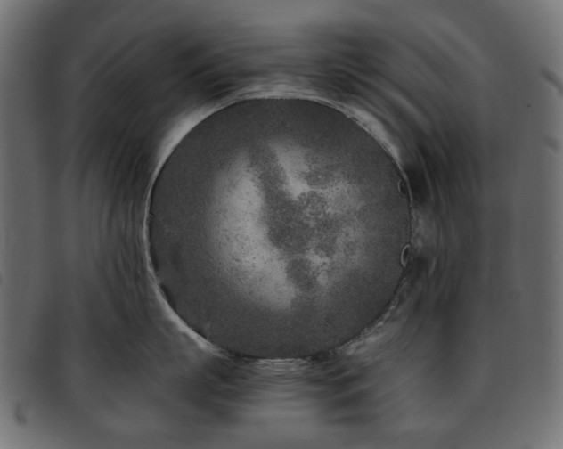 X0000093770863200710161240