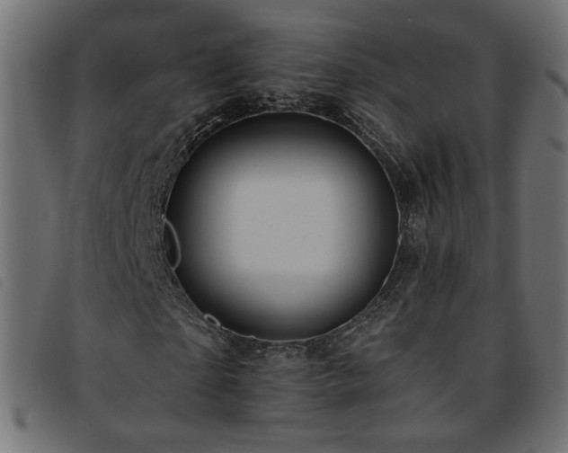 X0000093770865200710161240