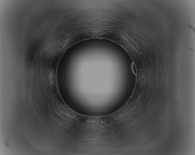 X0000093770866200710161240