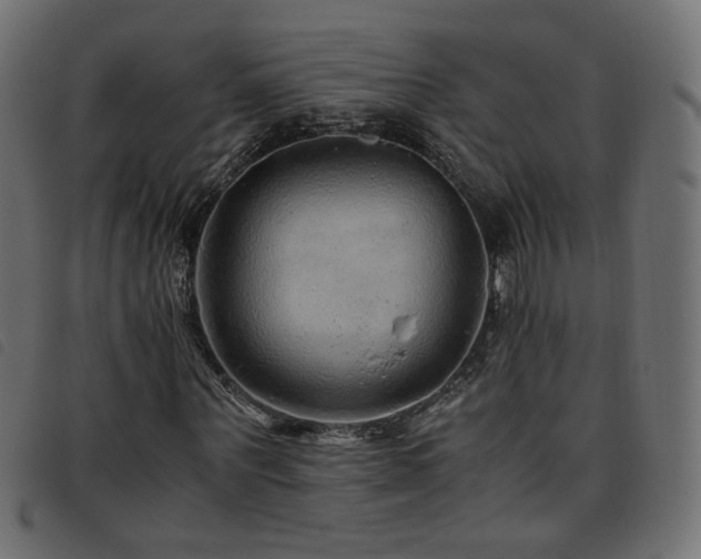X0000093770867200710161240