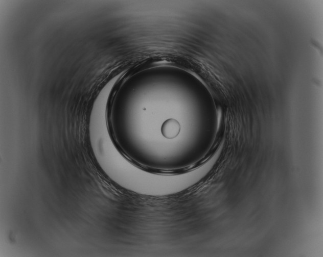 X0000093770868200710161240