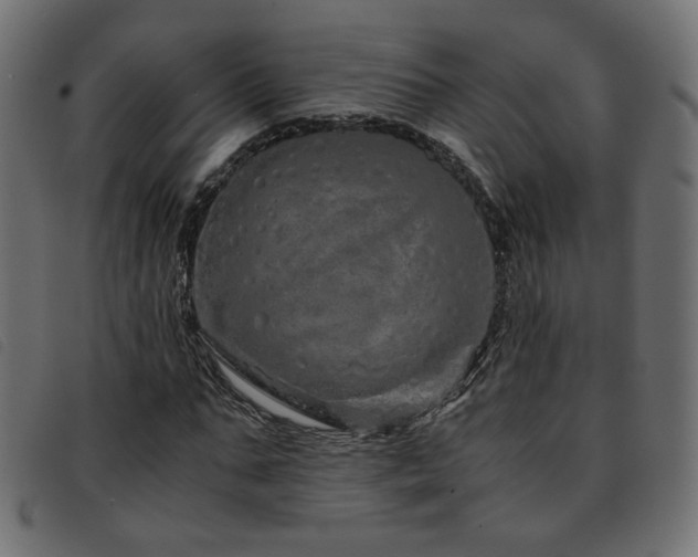 X0000093770871200710161240
