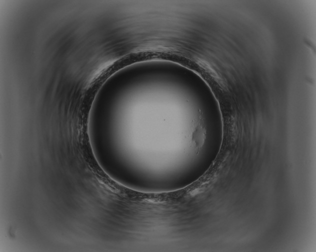X0000093770872200710161240