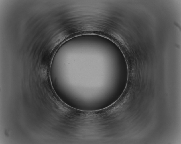 X0000093770873200710161240