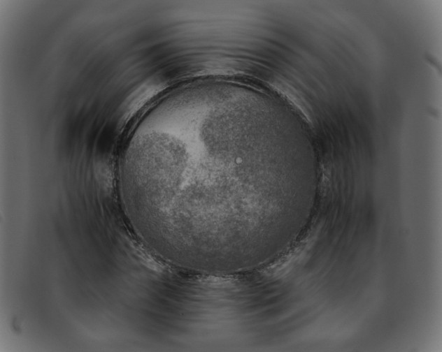 X0000093770874200710161240