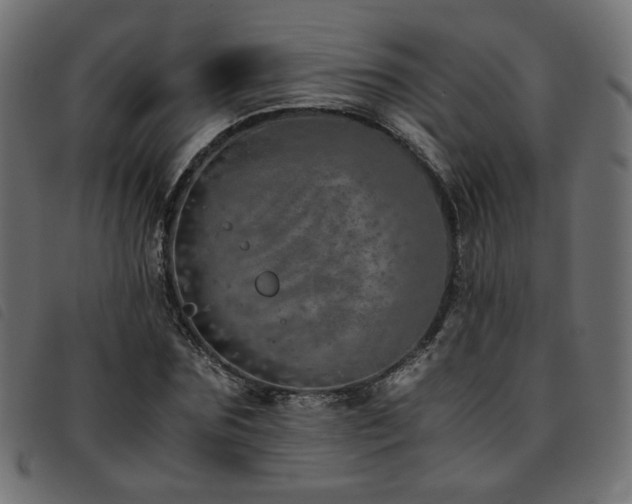 X0000093770875200710161240