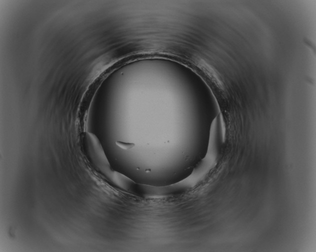 X0000093770876200710161240