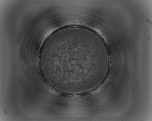 X0000093770879200710161240