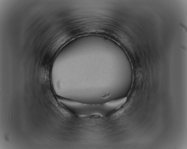 X0000093770881200710161240