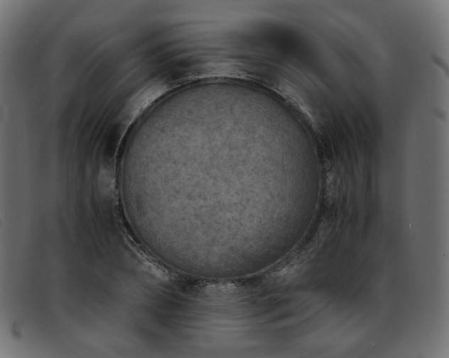X0000093770882200710161240