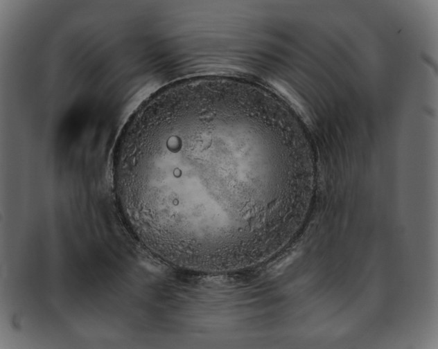 X0000093770883200710161240