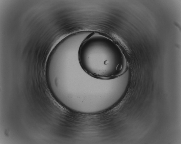 X0000093770884200710161240