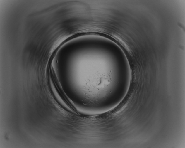 X0000093770885200710161240
