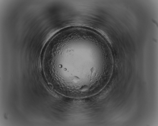 X0000093770887200710161240