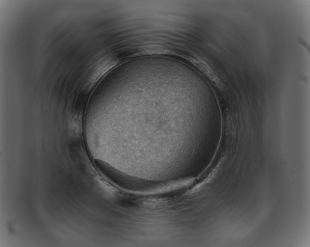 X0000093770889200710161240
