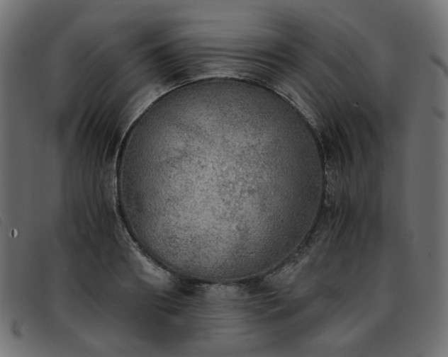 X0000093770890200710161240
