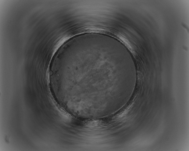 X0000093770891200710161239